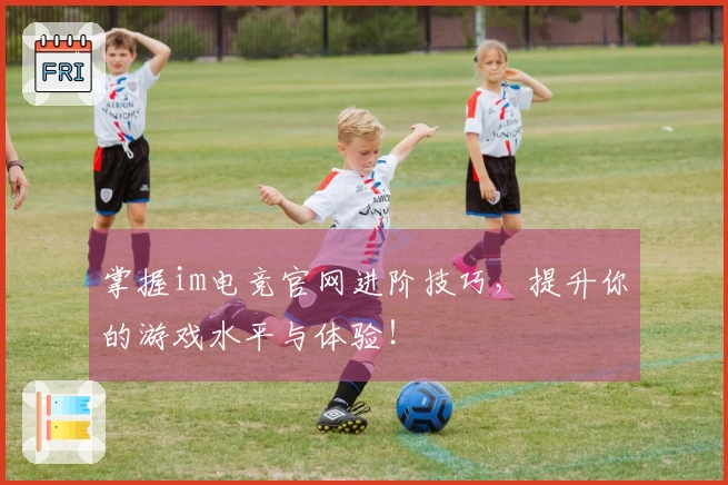 掌握im电竞官网进阶技巧，提升你的游戏水平与体验！