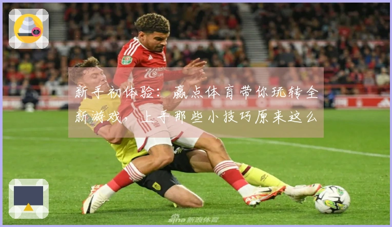 新手初体验：赢点体育带你玩转全新游戏，上手那些小技巧原来这么简单