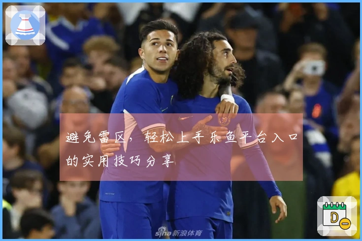 避免雷区，轻松上手乐鱼平台入口的实用技巧分享